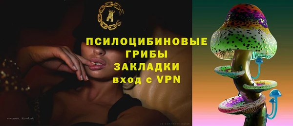 мдпв Магадан