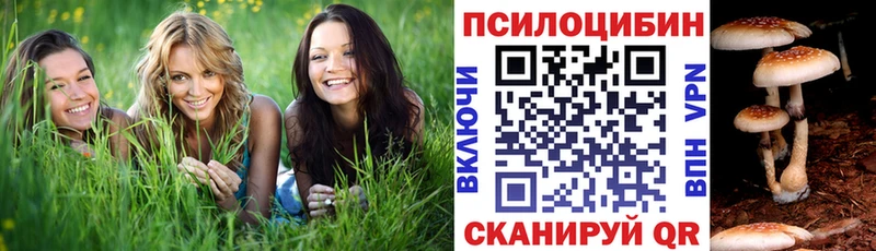 мега сайт  Новосиль  Псилоцибиновые грибы ЛСД 