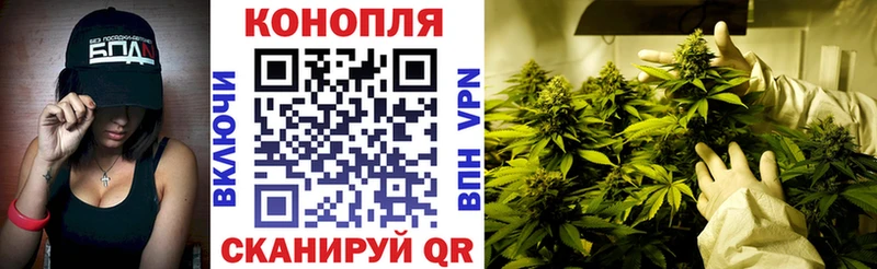 купить наркотики цена Новосиль omg как войти Марихуана AK-47